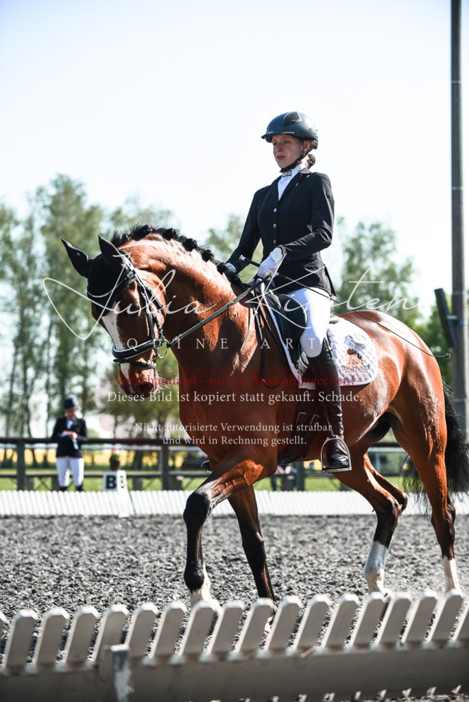DSC_8654 | Pferde- und Turnierfotografie in Westsachsen. Pferdeportraits, Auftragszeichnungen und intuitive Kunst.