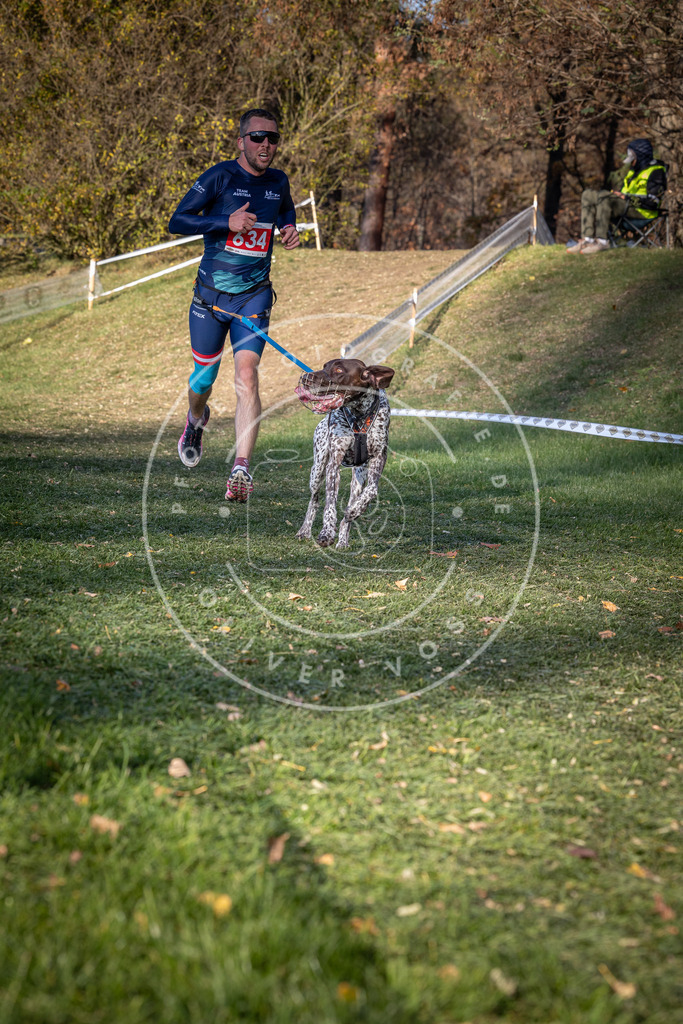 CaniXpix_0L8A8956 | Hundefotografie, Tierfotograf, Pfotenfotografie, Fotoshooting Hund, Hunde Portrait, Hundesport, Hundeportraits, Heideshooting, Hunde, Sportfotograf, Hundefotograf, Turnierhundsport, THS,  - Realisiert mit Pictrs.com