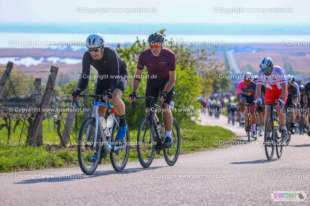 TRA_0688 | Neusiedlersee Radmarathon 2026@sportshot_your_pictrs #yourpictures#roadtowm2029 #nrm #neusiedlerseeradmarathon #neusiedlersee #neusiedlerseetourismus #burgenland #mörbisch #nrm26 #burgenlandtourismus #voglundco #poweredbyburgenlandtourismus #radsport #rad #marathon #ucigranfondo #visitburgenland #ucigranfondoworldseries
