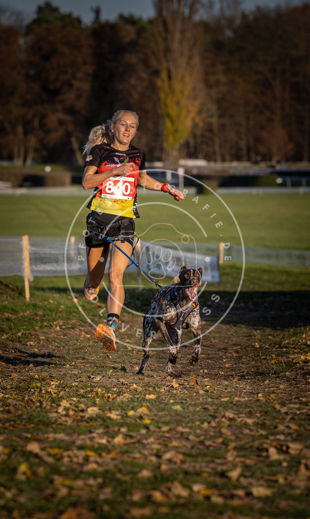 CaniXpix_DV3A3626 | Hundefotografie, Tierfotograf, Pfotenfotografie, Fotoshooting Hund, Hunde Portrait, Hundesport, Hundeportraits, Heideshooting, Hunde, Sportfotograf, Hundefotograf, Turnierhundsport, THS,  - Realisiert mit Pictrs.com