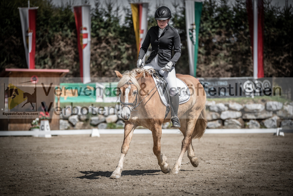 DSC_0708 | equestrian-live-com