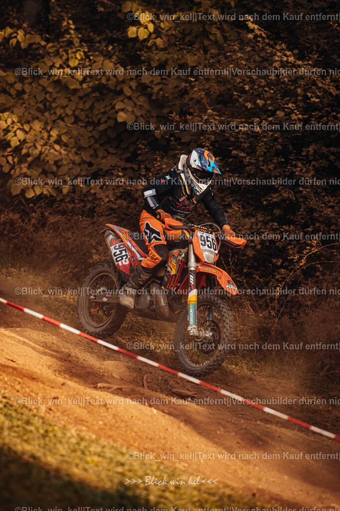 E68A8142 | blick_win_kel