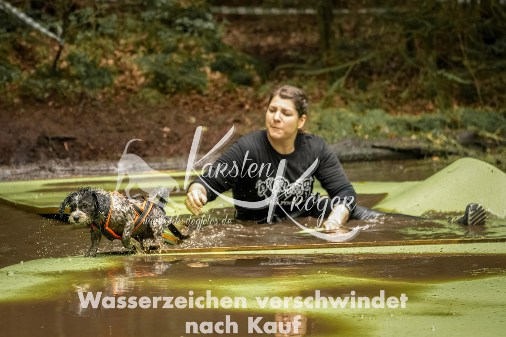 1216_ZZ93562-Bearbeitet-2 | kk-dogfotos