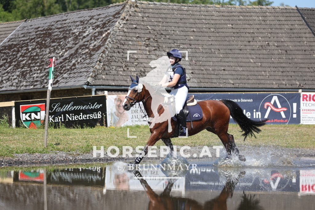 0P6A3493 | Willkommen bei Brunnmayr - Design & Fotografie – Ihrem Spezialisten für Reitturniere und Pferdeveranstaltungen in Oberösterreich, Salzburg und Bayern! Seit über 17 Jahren sind wir leidenschaftlich dabei.