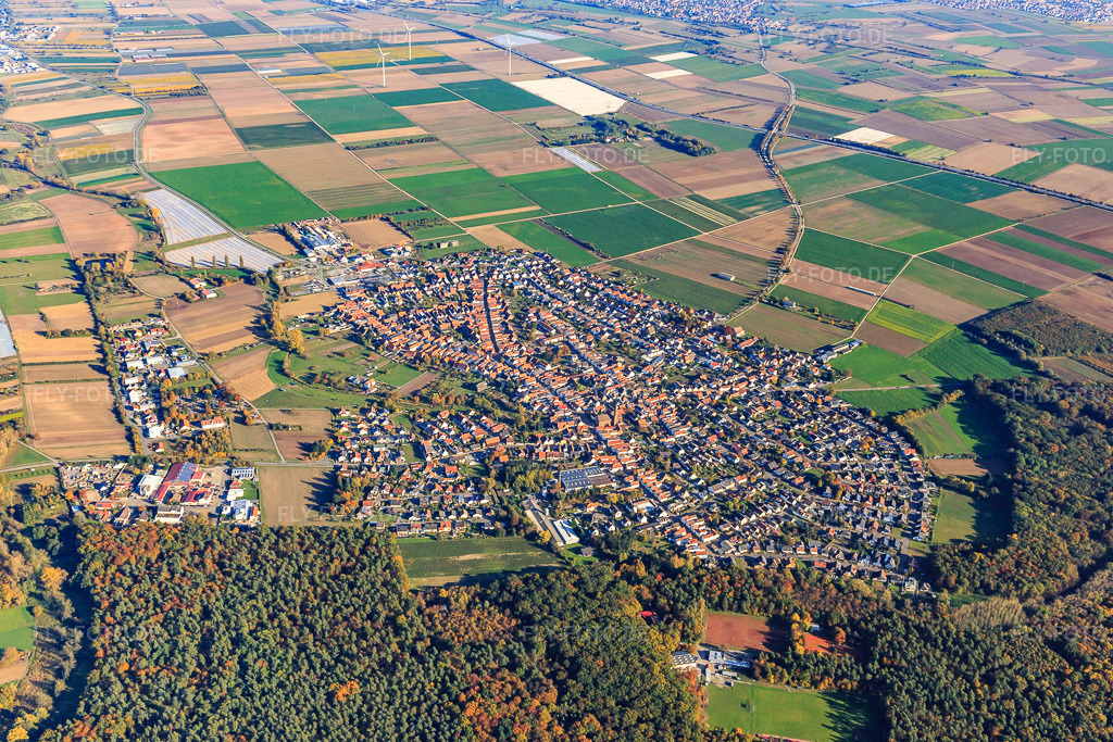 Luftbild: Ortsübersicht hinterm Wald aus Westen in Harthausen im Bundesland Rheinland-Pfalz in Deutschland. Foto: IMG_095372.jpg vom 30.10.2016 durch Werner Riehm/FLY-FOTO.de