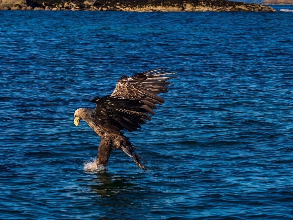 P1001619-LR-topaz-denoise-enhance | Natur im Moment - Realisiert mit Pictrs.com