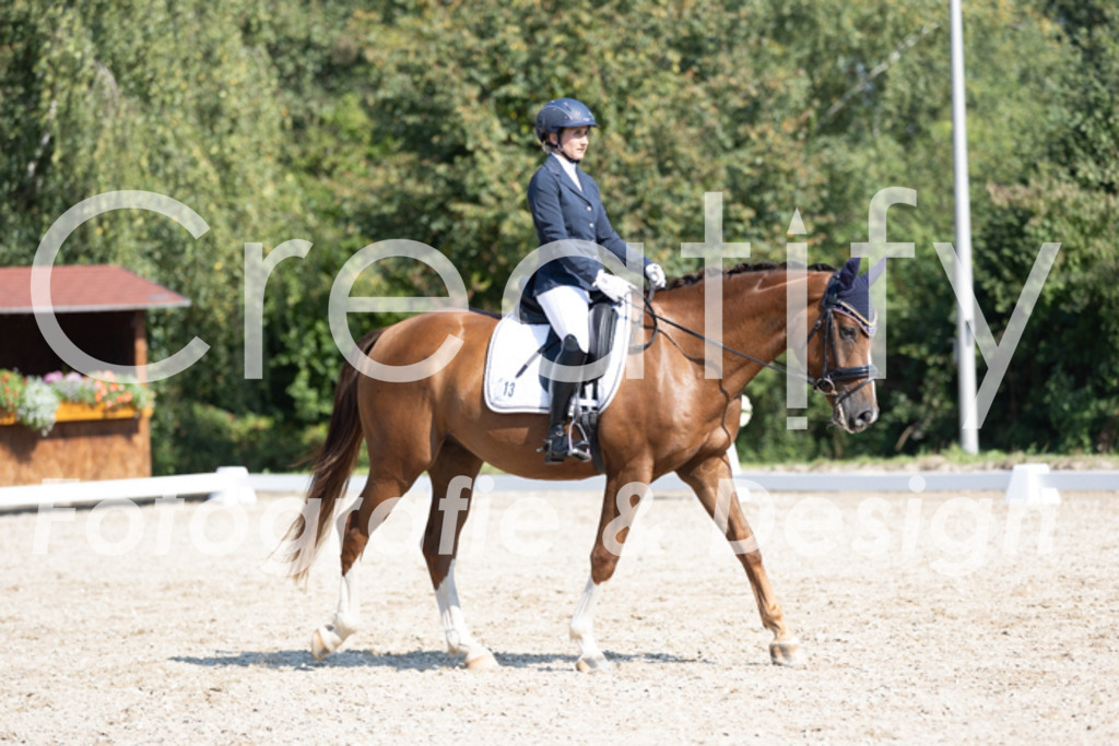 IMG_4355 | Creatify Fotografie