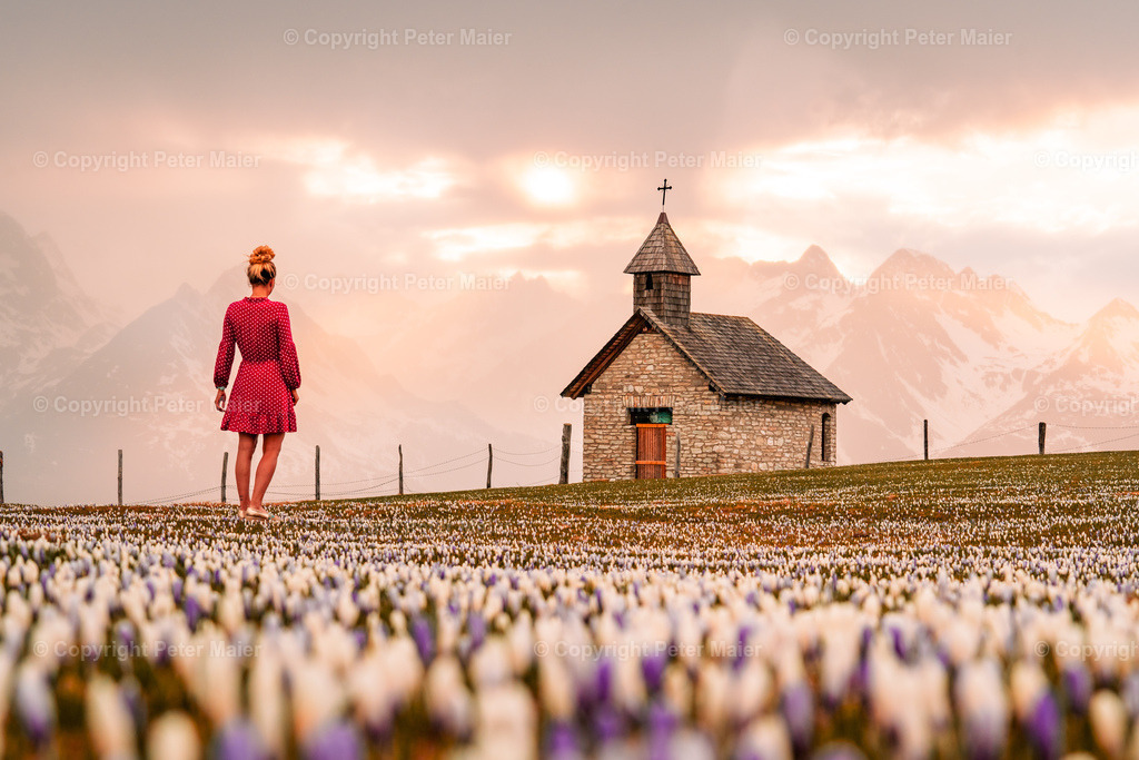 Glocknerblick-363 | piet_flosse