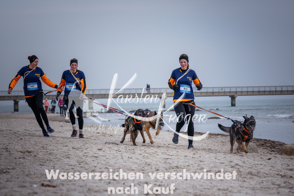 1258_ZZ97366 | kk-dogfotos