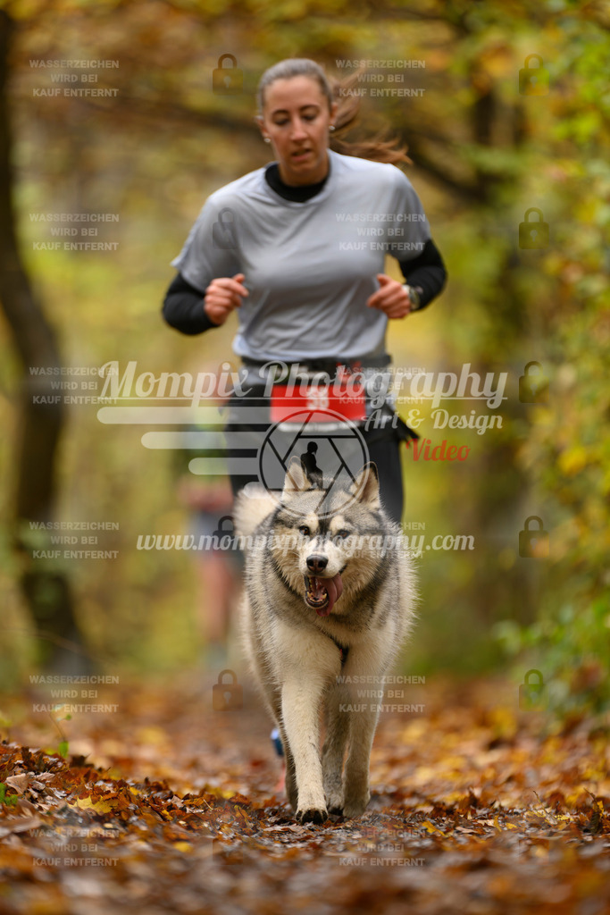 MompixPhotography_CD7S_DI_CCL-32 | mompixphotography