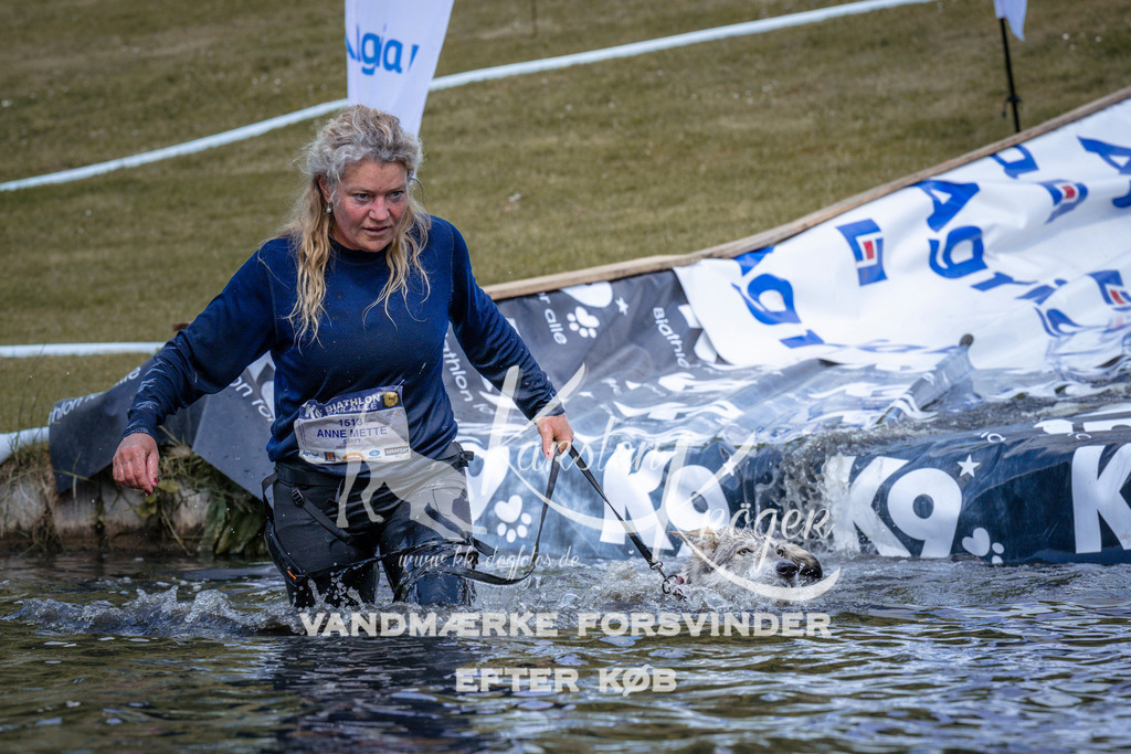 _ZZ936970941 | kk-dogfotos