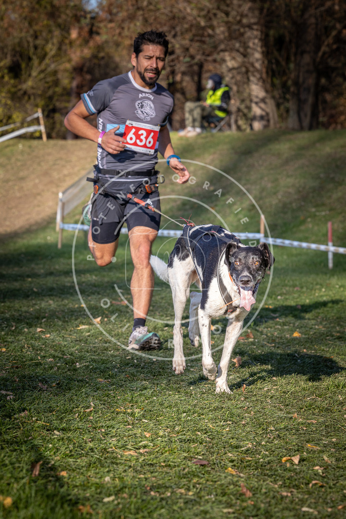 CaniXpix_0L8A8993 | Hundefotografie, Tierfotograf, Pfotenfotografie, Fotoshooting Hund, Hunde Portrait, Hundesport, Hundeportraits, Heideshooting, Hunde, Sportfotograf, Hundefotograf, Turnierhundsport, THS,  - Realisiert mit Pictrs.com