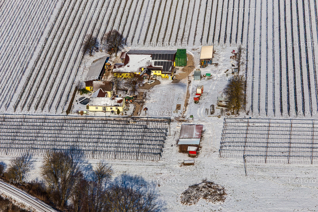 Winterluftbild im Schnee von Spargel- und Obsthof Gensheimer | Luftbild: Winterluftbild im Schnee von Spargel- und Obsthof Gensheimer in Steinweiler im Bundesland Rheinland-Pfalz in Deutschland. Foto: IMG_124768.jpg vom 11.02.2021 durch ©2025 Werner Riehm fly-foto.de/copyright - Realisiert mit Pictrs.com