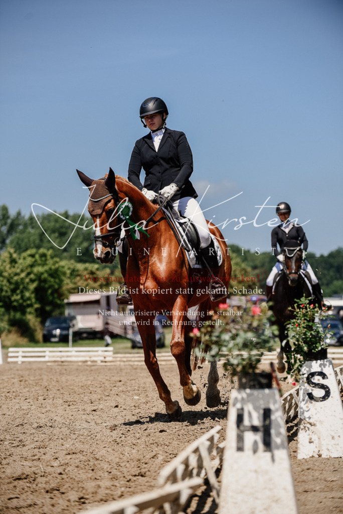 DSC_2082 | Pferde- und Turnierfotografie in Westsachsen. Pferdeportraits, Auftragszeichnungen und intuitive Kunst.