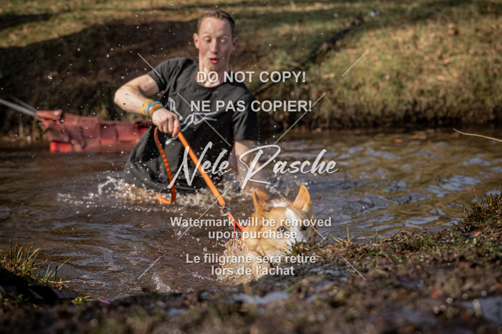 nelerasche_FS1330-1400_397 | nelerasche