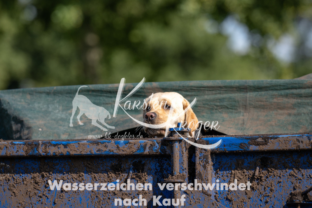1429_ZZ91322 | kk-dogfotos