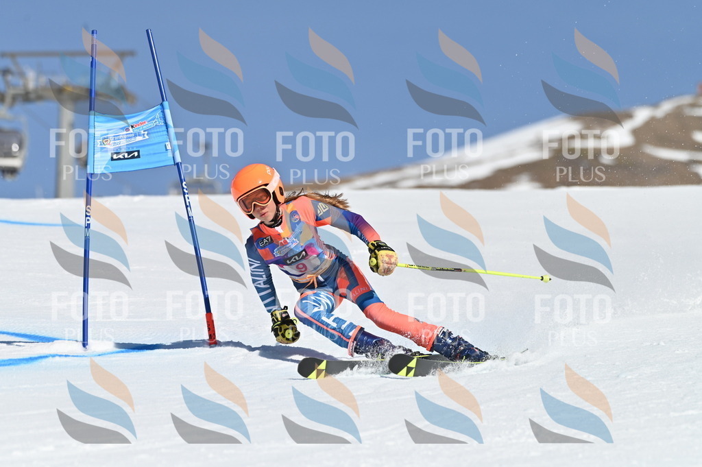 BGV_7734 | holidayphoto