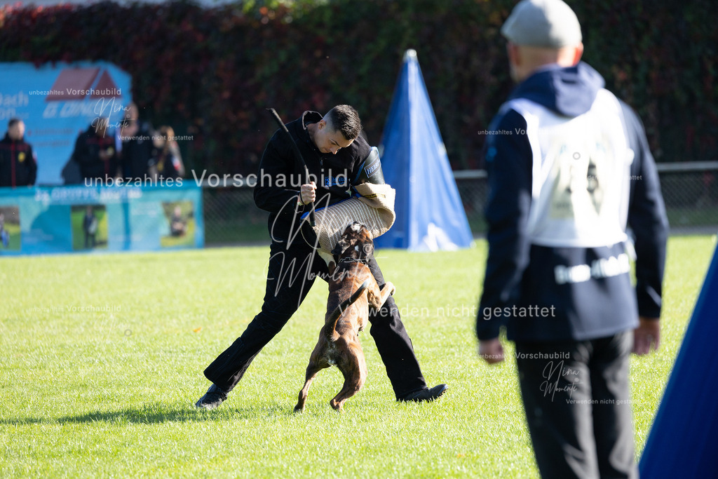 _16A5126 | Einzigartige Fotos von Hunden & Menschen –Actionfotos, Portraits, Vereinsaufnahmen & Paarshootings – authentisch, lebendig & mit Herz.