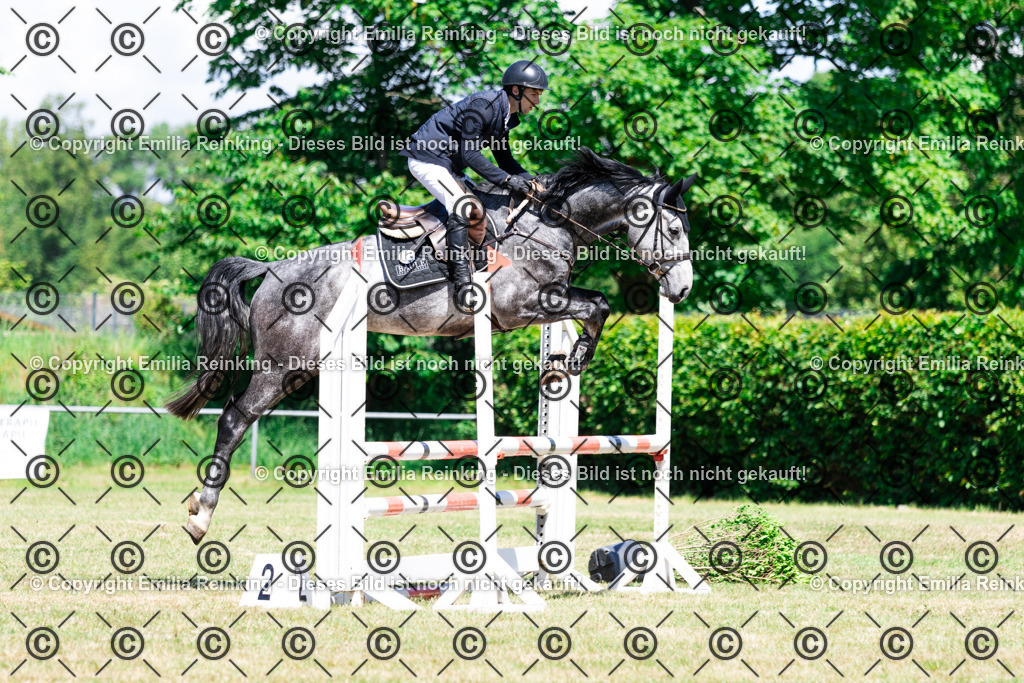 CL5A6020 | Emilia Reinking Fotografie - Realisiert mit Pictrs.com