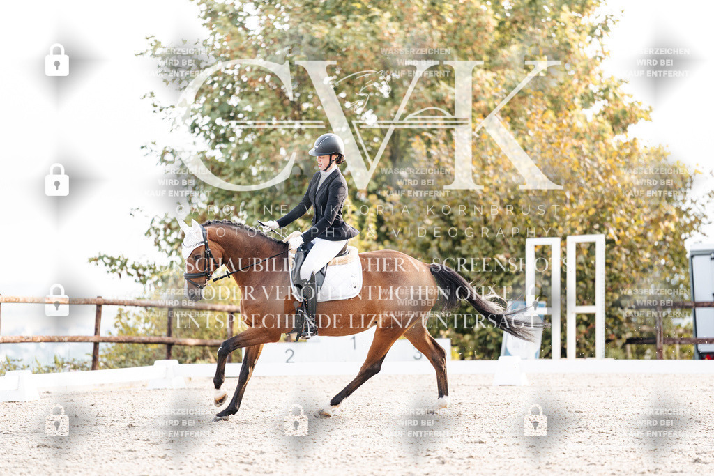 CK900447 | Turnierfotografie Pferdefotografie Trier Rheinland-Pfalz Pferdesport Reitsport Tierfotografie Sportfotografie Pferdevideo Pferdevideografie Equestrianvideography equestrianphotography  - Realisiert mit Pictrs.com