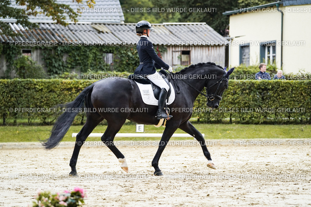 DSC06599 | Pferdegrafie