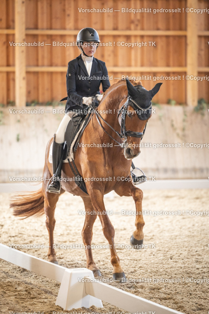 _D5A8946 | Emotionale Pferde- & People-Fotografie rund um Heidelberg, Leimen & Umgebung. Natürliche Fotos von Pferd, Mensch & Familie. Jetzt Termin sichern!