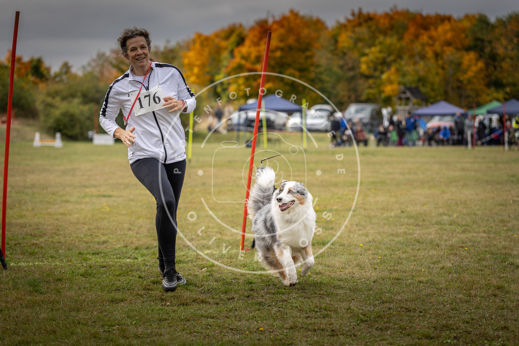 Pfotenfotografie_DV3A5813 | Hundefotografie, Tierfotograf, Pfotenfotografie, Fotoshooting Hund, Hunde Portrait, Hundesport, Hundeportraits, Heideshooting, Hunde, Sportfotograf, Hundefotograf, Turnierhundsport, THS,  - Realisiert mit Pictrs.com