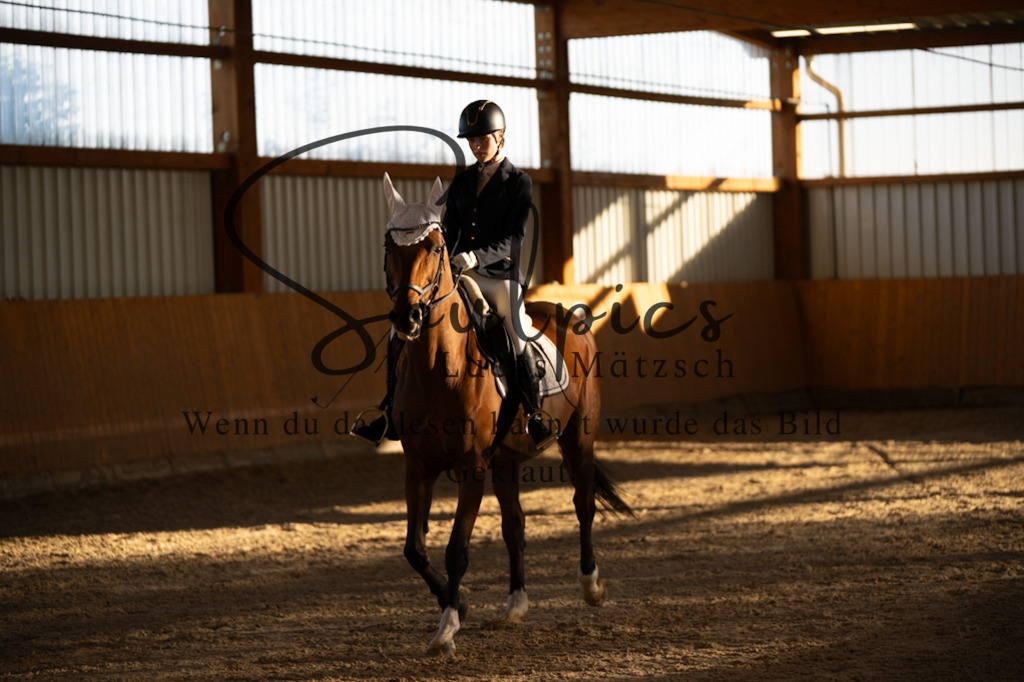 A7V01599 | Turnier/Reitfotograf