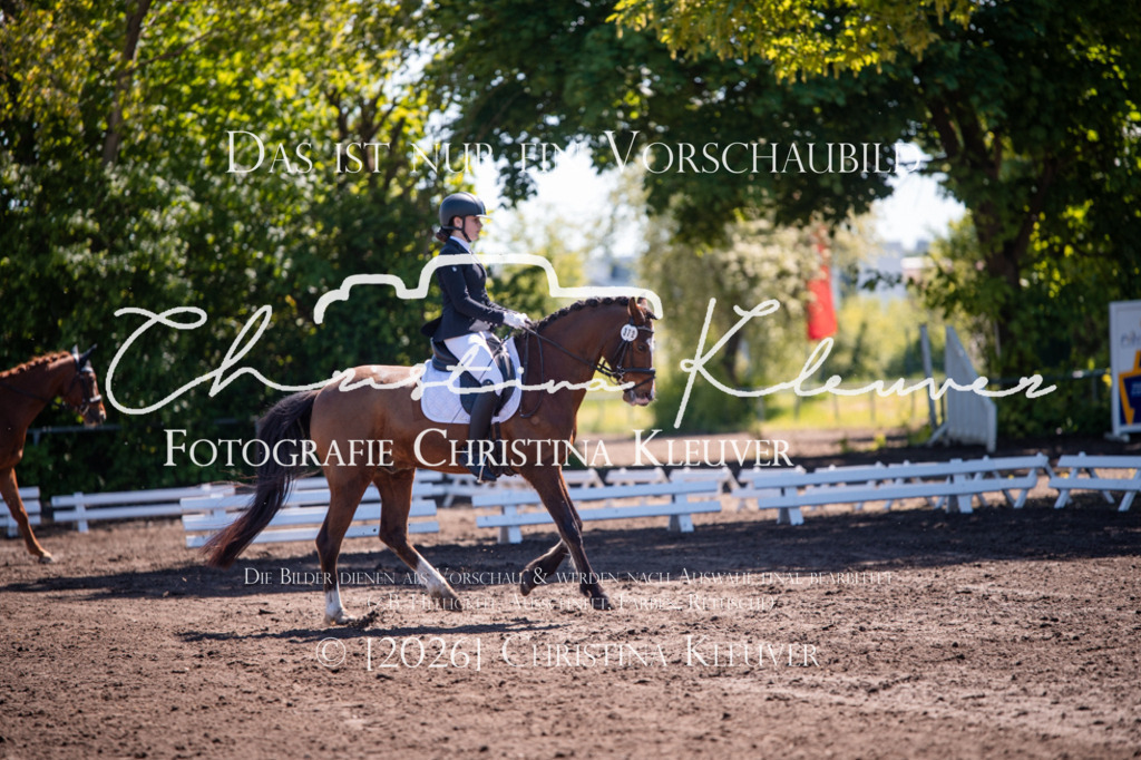 DSC_7347 | Christina-Kleuver