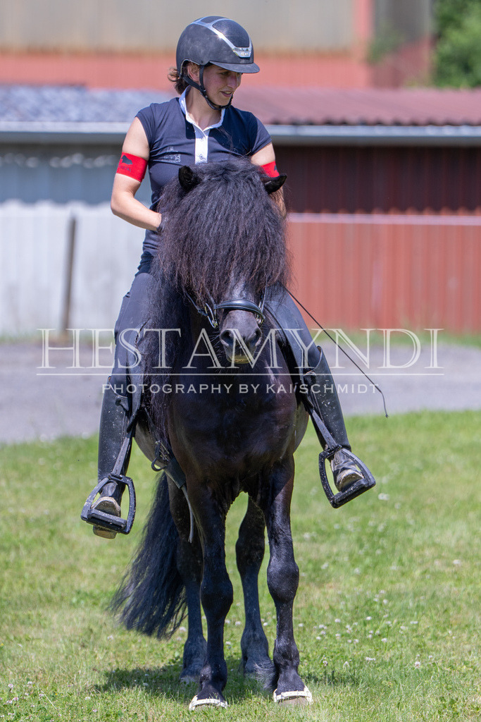KAI08098 | Ihr sucht einen Fotografen für eure nächste OSI? Ich begleite auch euer Turnier für Islandpferde fotografisch.  - Realisiert mit Pictrs.com