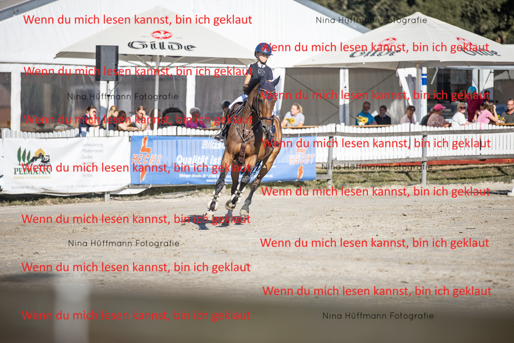 BK1A7443 | Turnierbilder Turnierfotos Nina Hüffmann Turnierfotografie Pferdefotografie Tierzeichnung Haustierzeichnung Pferdezeichnung Hundezeichnung Videograf  - Realisiert mit Pictrs.com