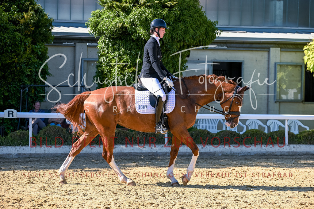 Schugtsche-Aluta25-50.Dressurpferdeprf.L-283 | Schugtsche Fotografie - Realisiert mit Pictrs.com