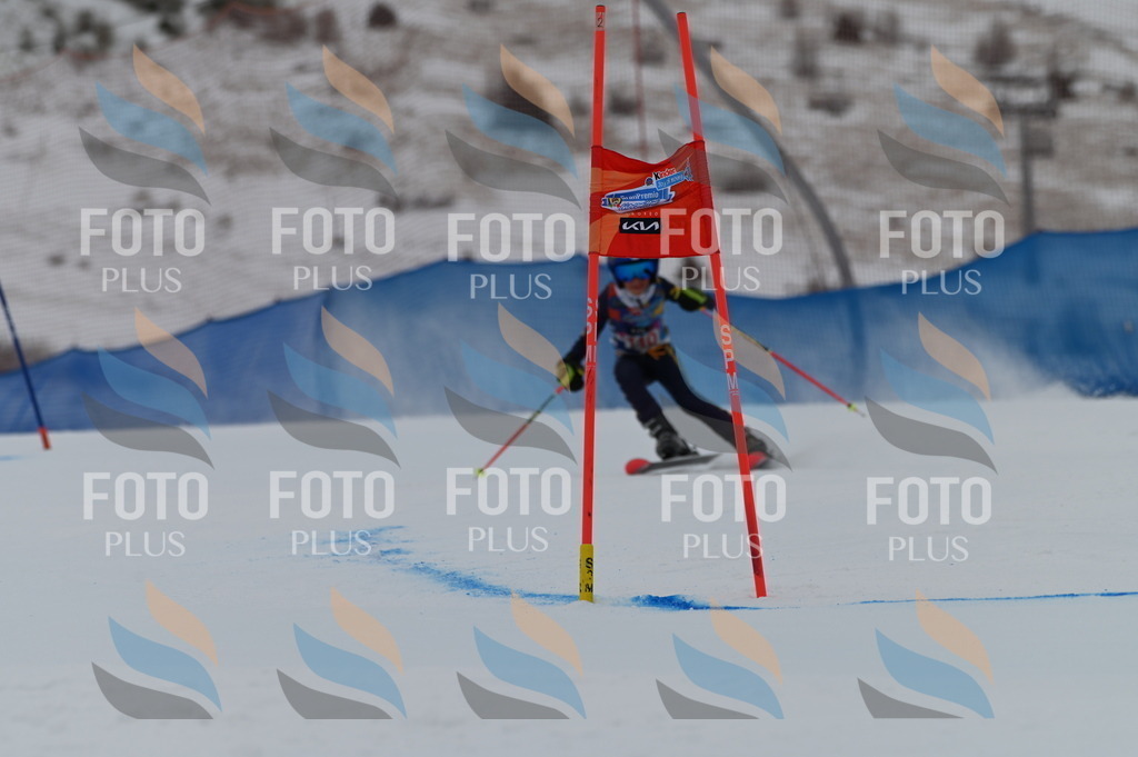 BGV_9410 | holidayphoto