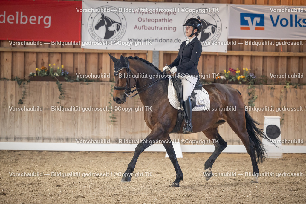 _D5A2713 | Emotionale Pferde- & People-Fotografie rund um Heidelberg, Leimen & Umgebung. Natürliche Fotos von Pferd, Mensch & Familie. Jetzt Termin sichern!