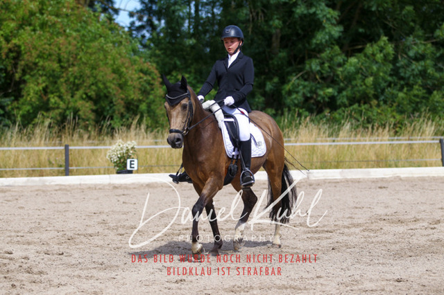 DKP46703 | Turniersportfotografie; Pferdefotografie; Dressurfotografie