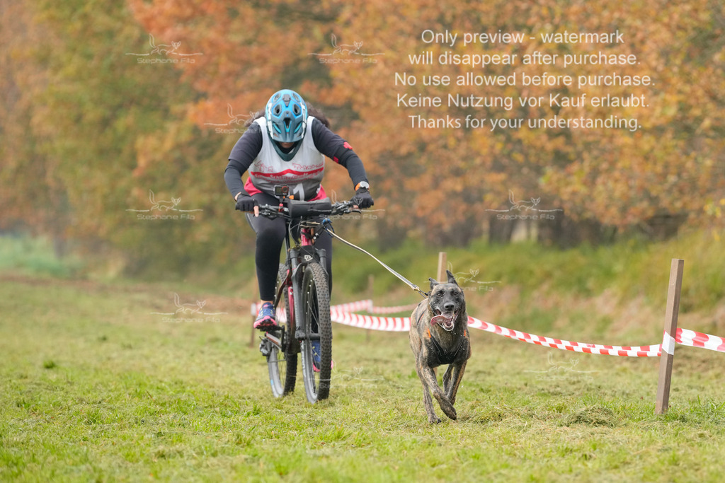 Visbeck_Sa_Bike-311 | stephaniefillaphotographie - Realisiert mit Pictrs.com