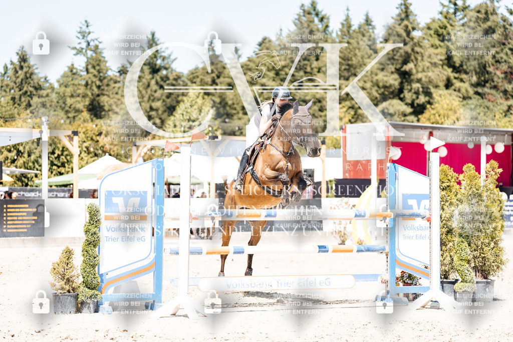CK900232 | Turnierfotografie Pferdefotografie Trier Rheinland-Pfalz Pferdesport Reitsport Tierfotografie Sportfotografie Pferdevideo Pferdevideografie Equestrianvideography equestrianphotography  - Realisiert mit Pictrs.com