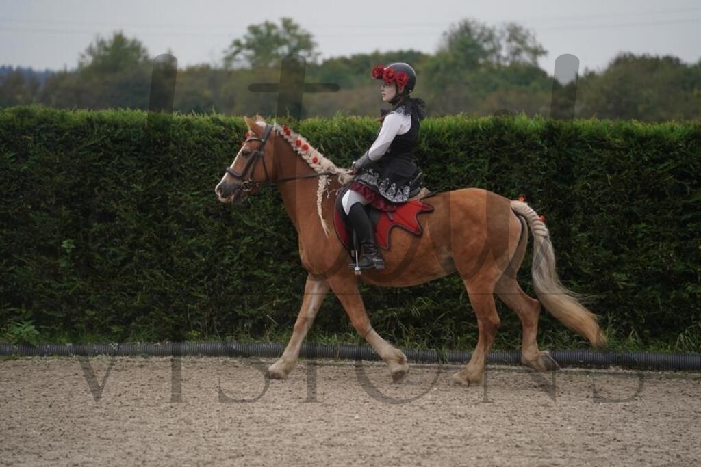 pfmagarethenhof (1039) | d.tail Visions - Shop - Realisiert mit Pictrs.com