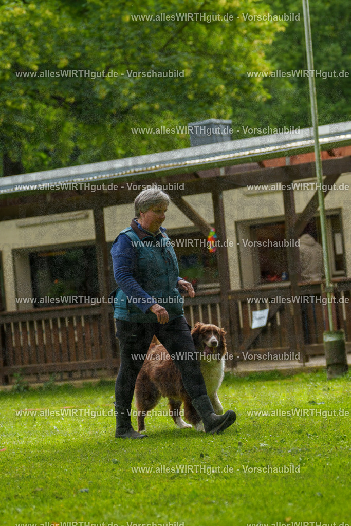 @allesWIRTHgut_Tierfotografie - www.allesWIRTHgut.de - 101224-7R508167 | Professionelle Tierfotografie in Mönchengladbach von Daniel Wirth (allesWIRTHgut). Liebevolle & natürliche Bilder von Hunden & Katzen für unvergessliche Erinnerungen.