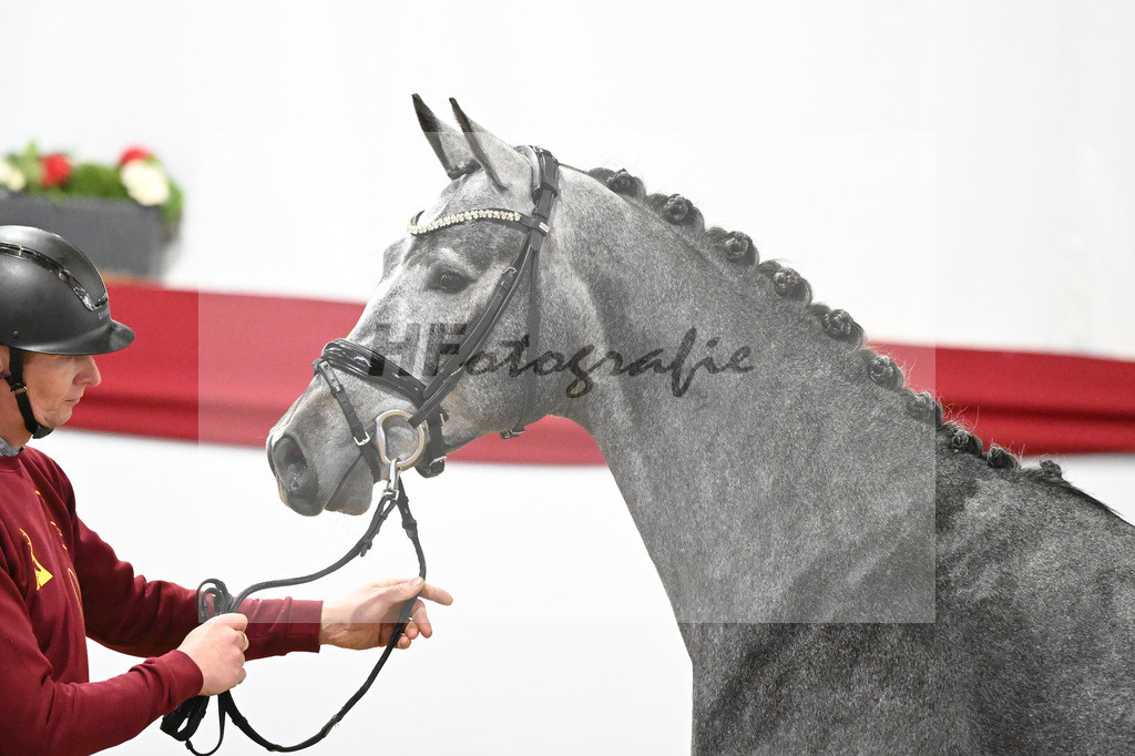 Kat-Nr. 28 v. Cornet de Semilly_ZG Nahm_63220828 | hf-fotografie - Realisiert mit Pictrs.com
