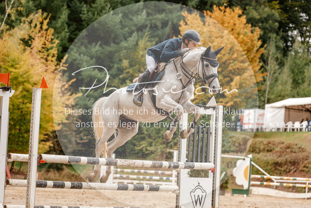 3I6A6845 | Stimmungsvolle Portraits und Reitsportfotografie im Ruhrgebiet und im Münsterland.

Pferdefotografie, Hundefotografie, Tierfotografie, Reportagen, Portraits von Tier und Mensch, Turnierfotografie in Bochum, Recklinghausen, Marl, Haltern am See, Dülmen.. - Realisiert mit Pictrs.com