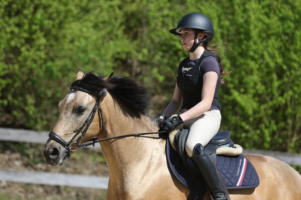 0P6A8860 | Willkommen bei Brunnmayr - Design & Fotografie – Ihrem Spezialisten für Reitturniere und Pferdeveranstaltungen in Oberösterreich, Salzburg und Bayern! Seit über 17 Jahren sind wir leidenschaftlich dabei.
