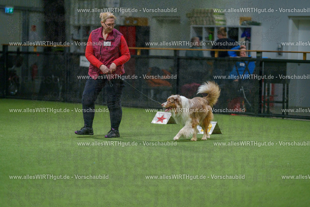 7R505266 | Professionelle Tierfotografie in Mönchengladbach von Daniel Wirth (allesWIRTHgut). Liebevolle & natürliche Bilder von Hunden & Katzen für unvergessliche Erinnerungen.