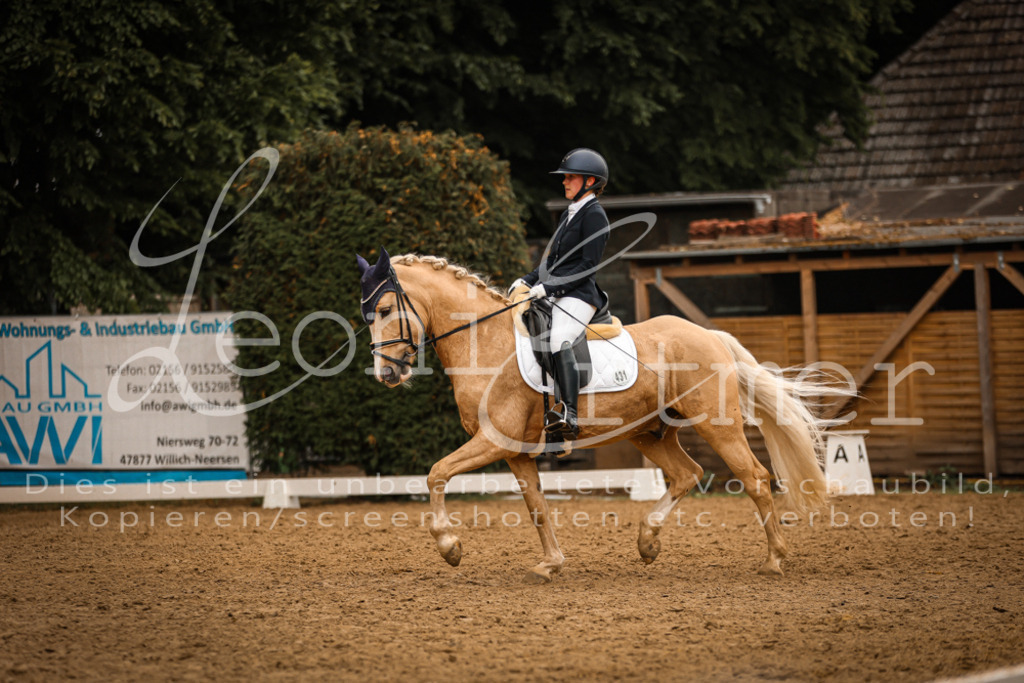 DoDrA200350 | Leoni Ertmer Photography - Realisiert mit Pictrs.com