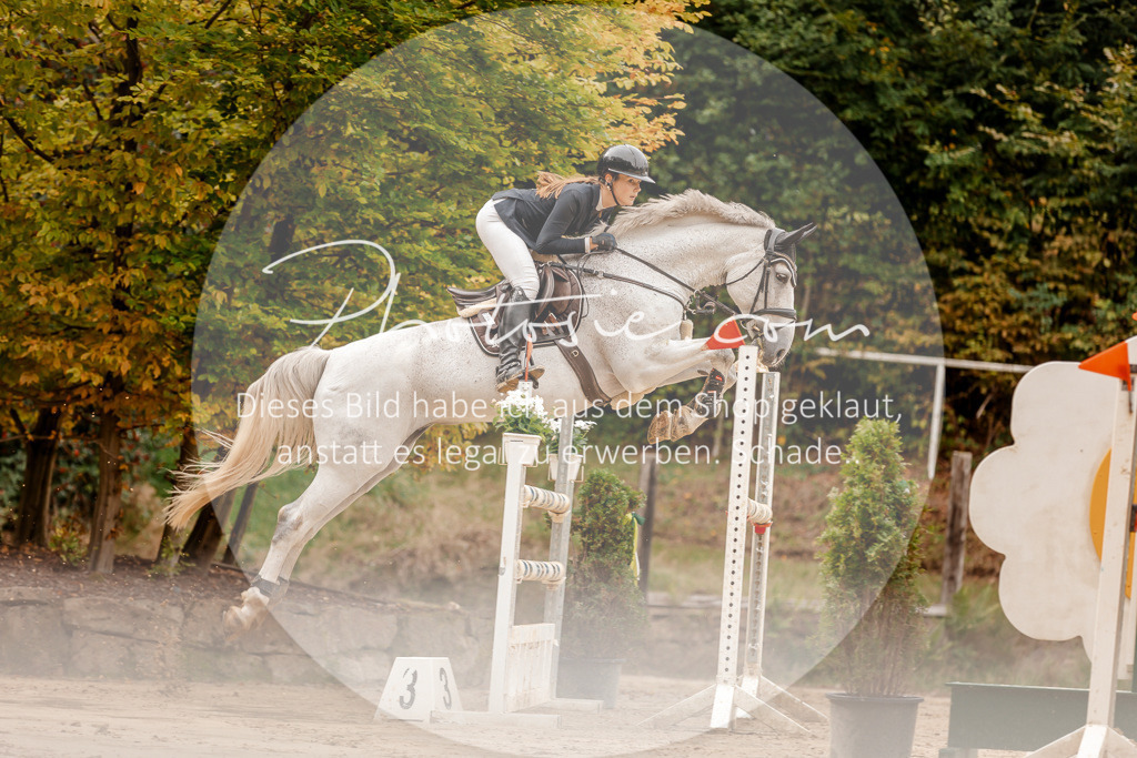 3I6A8123 | Stimmungsvolle Portraits und Reitsportfotografie im Ruhrgebiet und im Münsterland.

Pferdefotografie, Hundefotografie, Tierfotografie, Reportagen, Portraits von Tier und Mensch, Turnierfotografie in Bochum, Recklinghausen, Marl, Haltern am See, Dülmen.. - Realisiert mit Pictrs.com