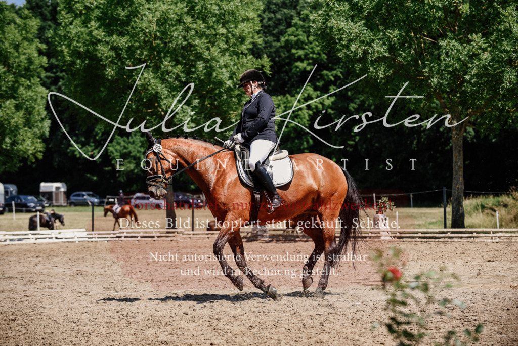 DSC_2019 | Pferde- und Turnierfotografie in Westsachsen. Pferdeportraits, Auftragszeichnungen und intuitive Kunst.