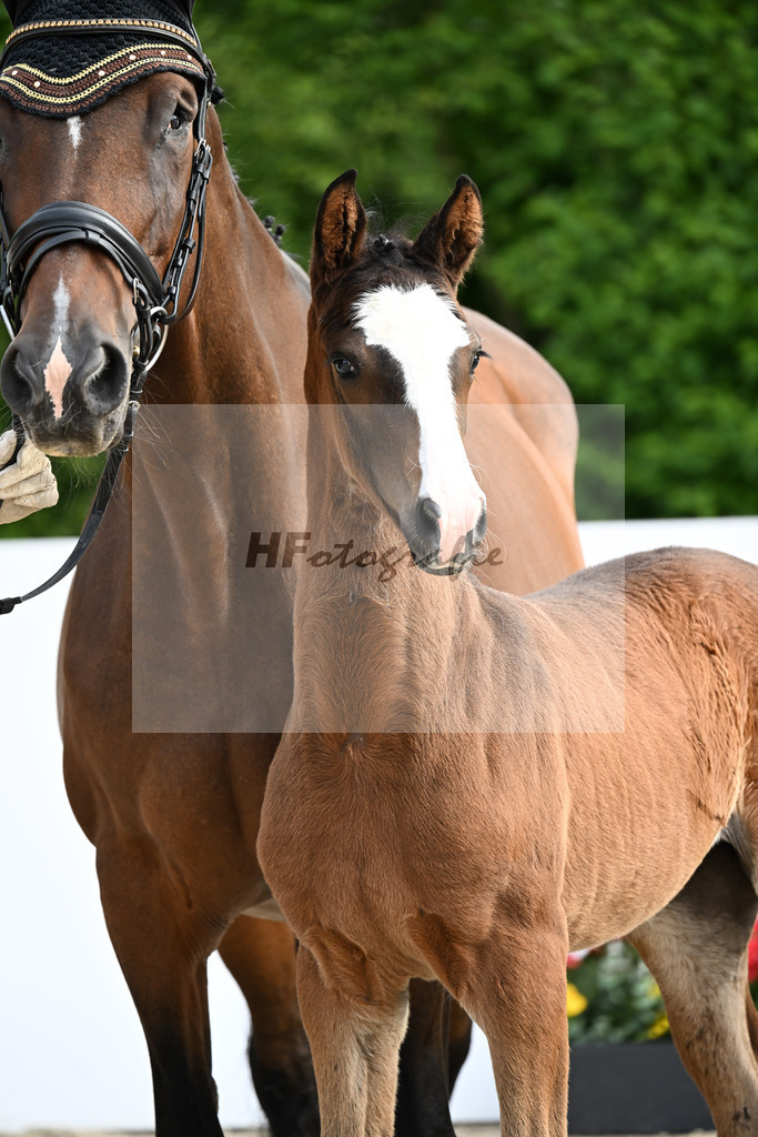 Bon Esprit x Wolkenstein II_SF_Staudenmayer_13250259 | hf-fotografie - Realizzato con Pictrs.com