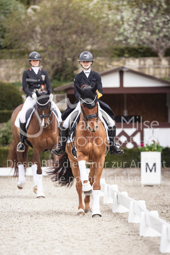 260412_Kronberg_S-Dressur-665 | Deine schönsten Turniermomente als professionelle Fotos! Entdecke hochwertige Pferdesport-Fotografie im Online-Shop. Jetzt Fotos finden & bestellen!
