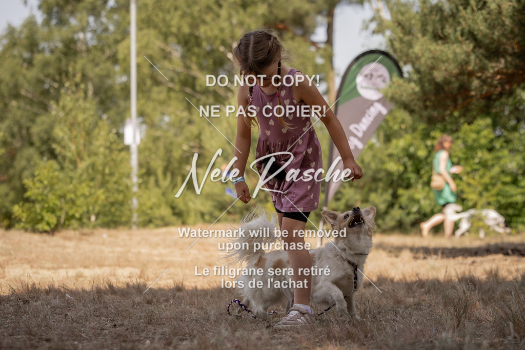 nelerasche_soDD2_301 | nelerasche