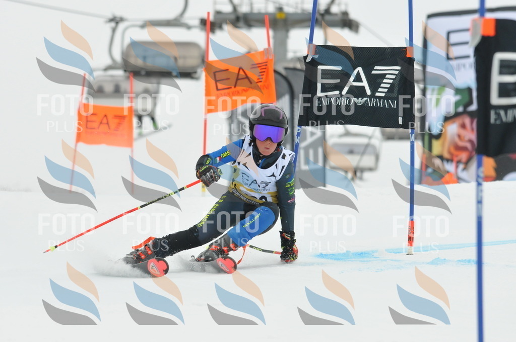 DSC_8511 | holidayphoto